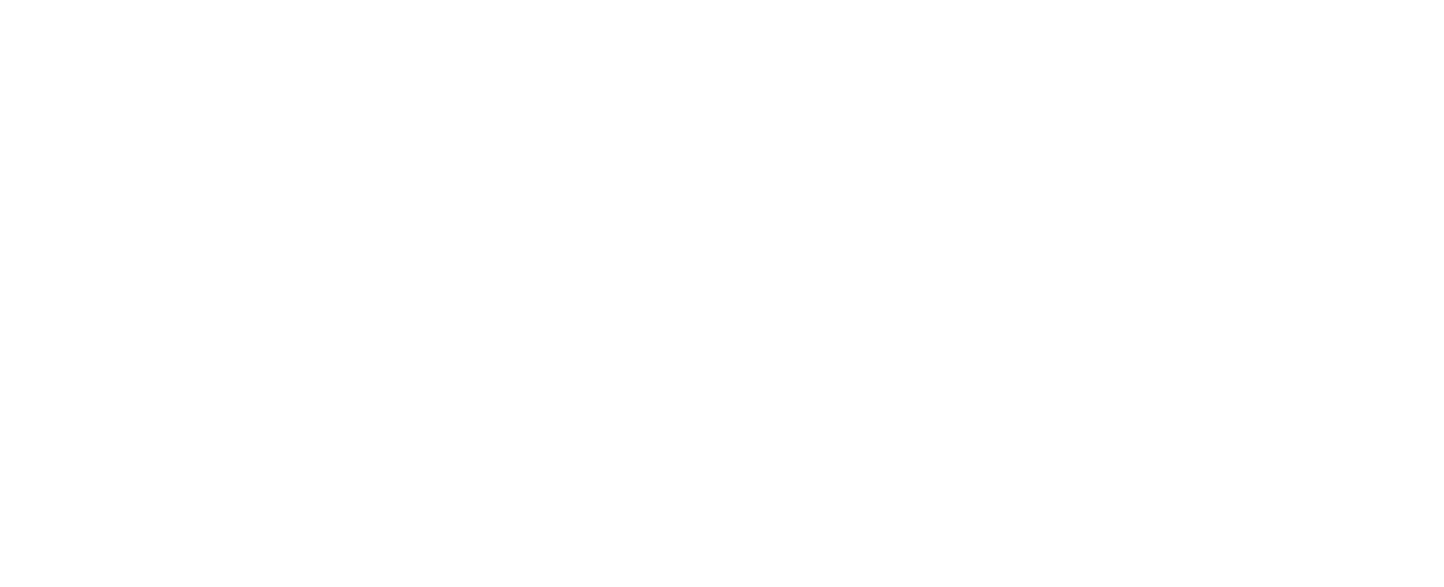 NACICO CHEMICALS